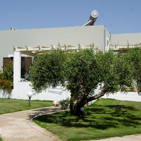 Villa Dimitris Palekastro Exteriör bild